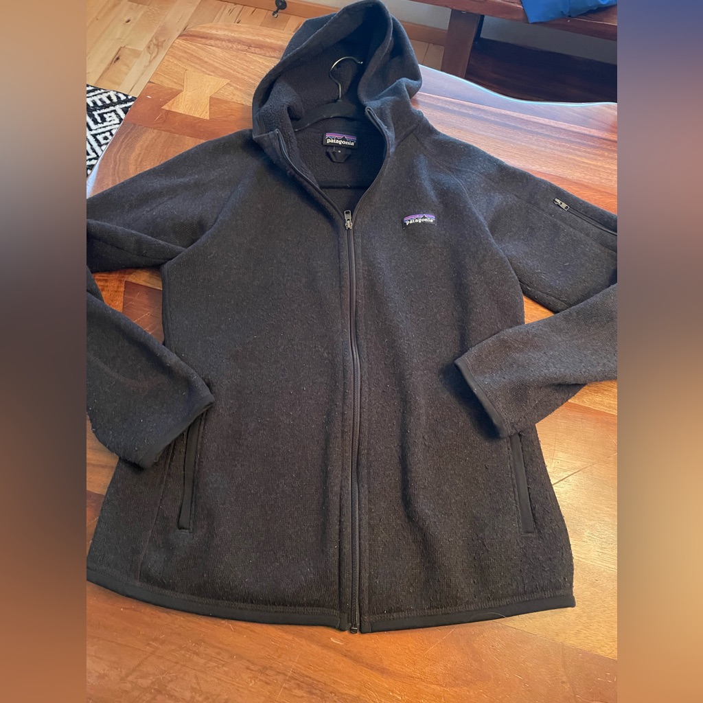 Patagonia Better Sweater Fleece Hoodie